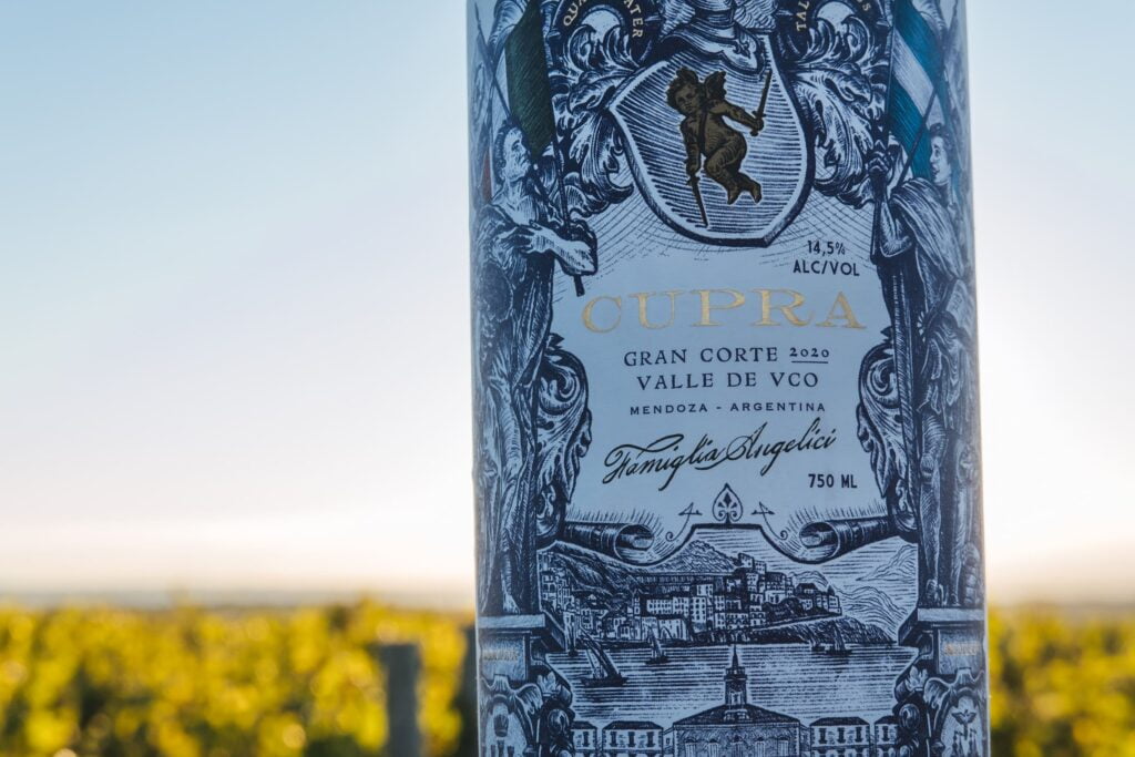 Viñedo y racimos de Cupra Gran Malbec, Valle de Uco