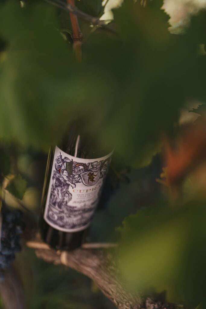 Cupra Wines, etiqueta y botellas