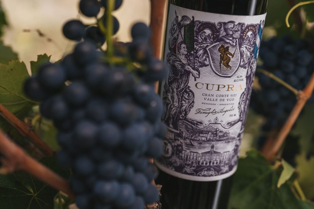 Viñedo y racimos de Cupra Gran Malbec, Valle de Uco